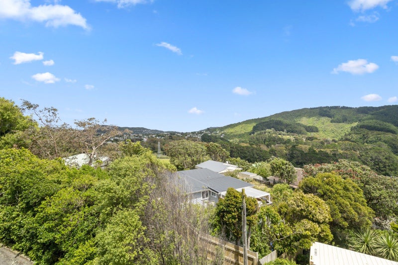 32 Cheshire Street, Wilton, Wellington - Carousel 2