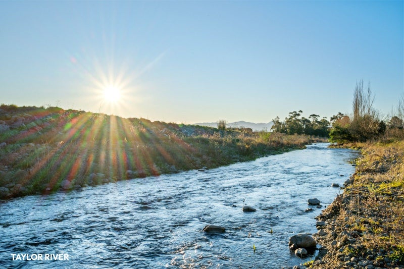 87 Turnbull Drive, Witherlea, Blenheim - Carousel 37