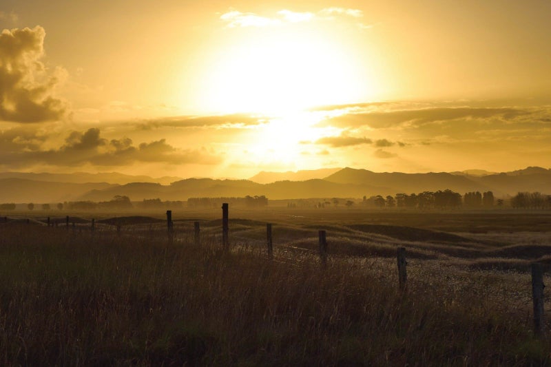 0 Hansen Road, Makauri, Gisborne - Carousel 3