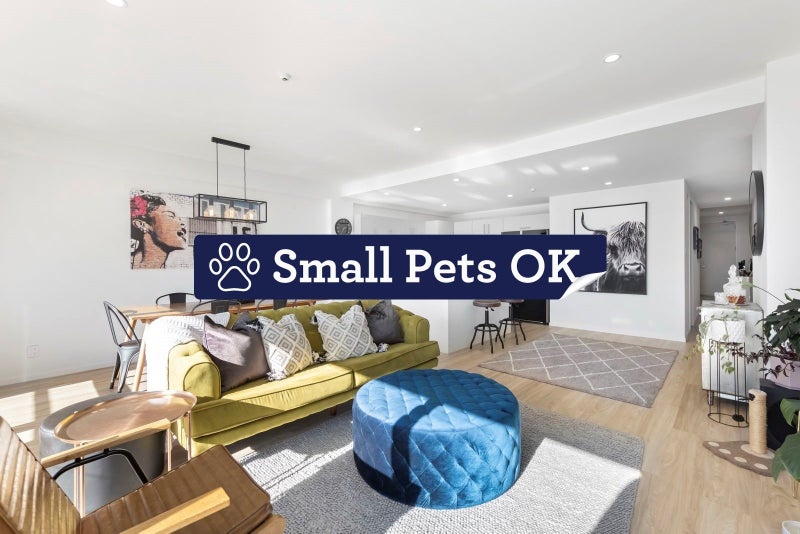 Y24/30 York Street, Parnell, Auckland - Carousel 1