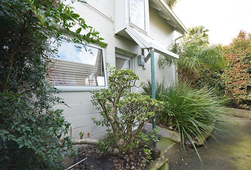 12/1 Water Street, Otahuhu, Auckland - Carousel 19