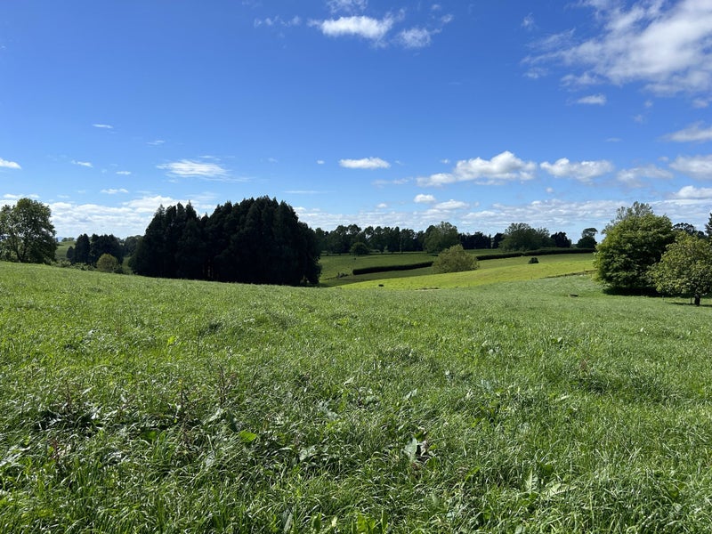 1 Waianiwa Dell, Wharewaka, Taupo - Carousel 2