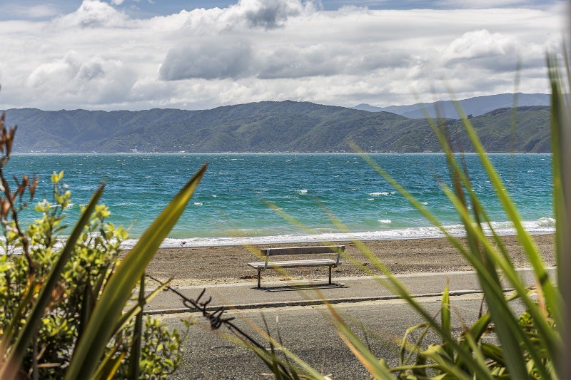 3 Ventnor Street, Seatoun, Wellington - Carousel 2