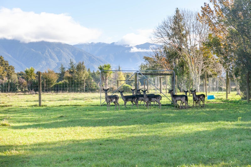 319 East Takaka Road, East Takaka - Carousel 35