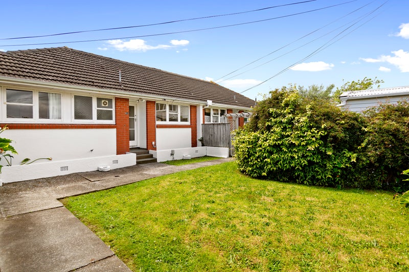 91B Pretoria Street, Hutt Central, Lower Hutt - Carousel 1