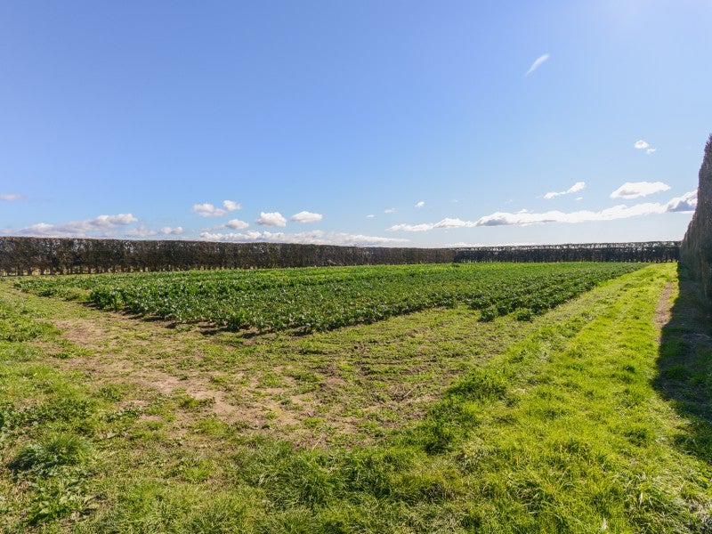 272 Meeanee Road, Meeanee, Napier - Carousel 2
