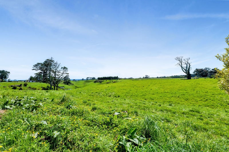 313 Egmont Road, Hillsborough - Carousel 27