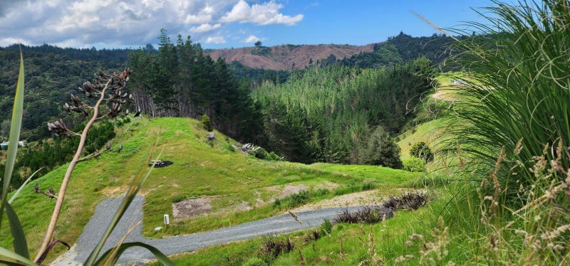 163C Ahuroa Road, Puhoi, Warkworth - Carousel 13