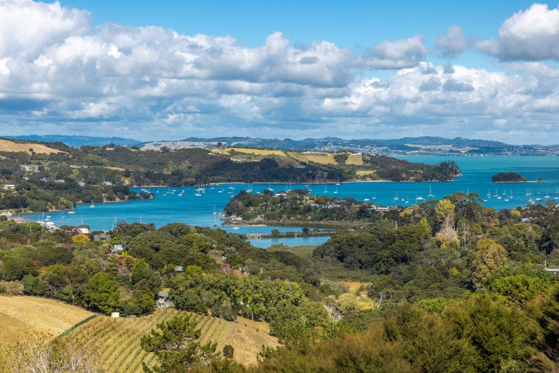 37 Junction Road, Oneroa, Waiheke Island - Carousel 23
