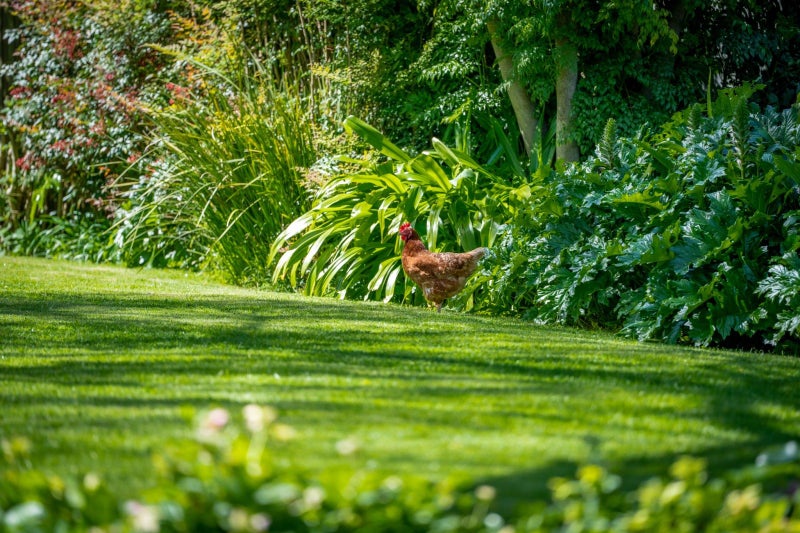 14 Tamihana Avenue, Fairfield, Hamilton - Carousel 24