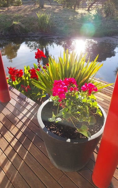 106 Paetawa Road, Peka Peka - Carousel 47