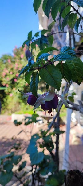 9 Tai Paku Paku Road, Karaka Bays, Wellington - Carousel 2