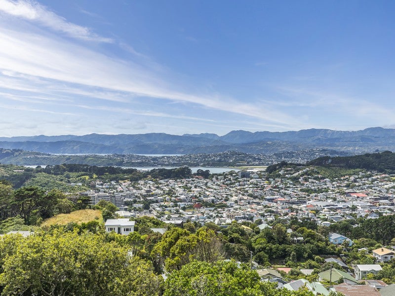 5A Fortunatus Street, Brooklyn, Wellington - Carousel 26