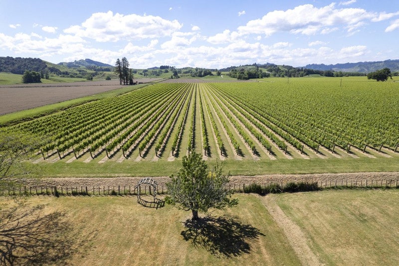 37 Branson Road, Waipaoa, Gisborne - Carousel 36