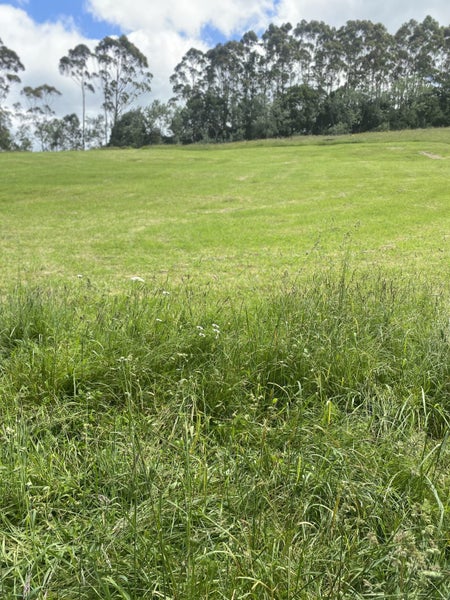 397 Grove Road, Te Pahu, Hamilton - Carousel 40