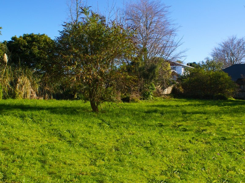 15 Balmoral Drive, Terrace End, Palmerston North - Carousel 1