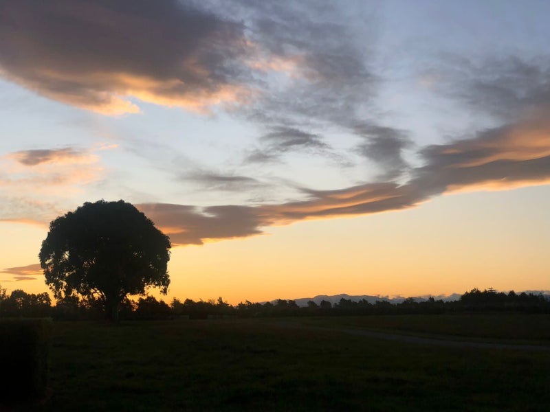 196A Sharps Road, Kirwee - Carousel 13