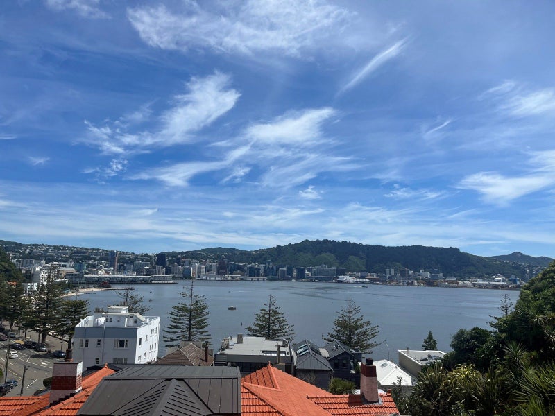 17 Grass Street, Oriental Bay, Wellington - Carousel 22