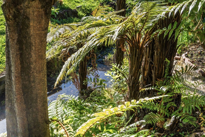 16A Highgate Avenue, Merivale, Christchurch - Carousel 25