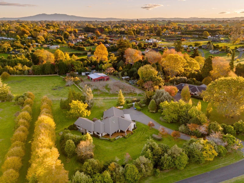 37 Koppens Road, Tamahere - Carousel 29