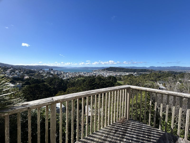 100 Mortimer Terrace, Brooklyn, Wellington - Carousel 24