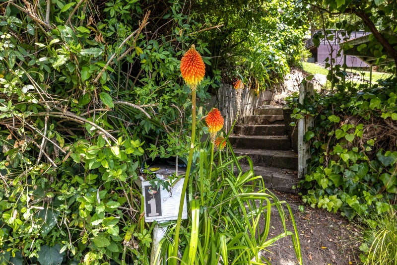 1 Wilma Road, Ostend, Waiheke Island - Carousel 2