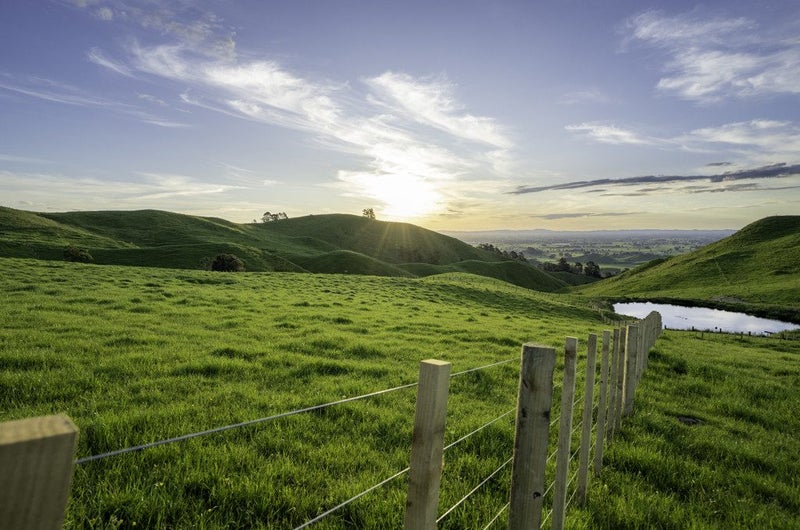 697 Maungakawa Road, Te Miro, Cambridge - Carousel 2