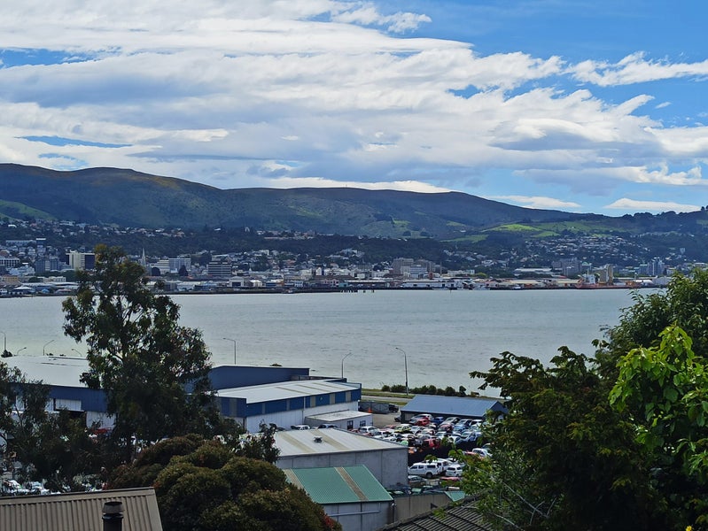 33 Belmont Lane, Musselburgh, Dunedin - Carousel 8