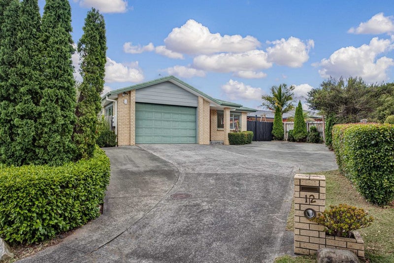 12 Watersfield Place, Flat Bush, Auckland - Carousel 2