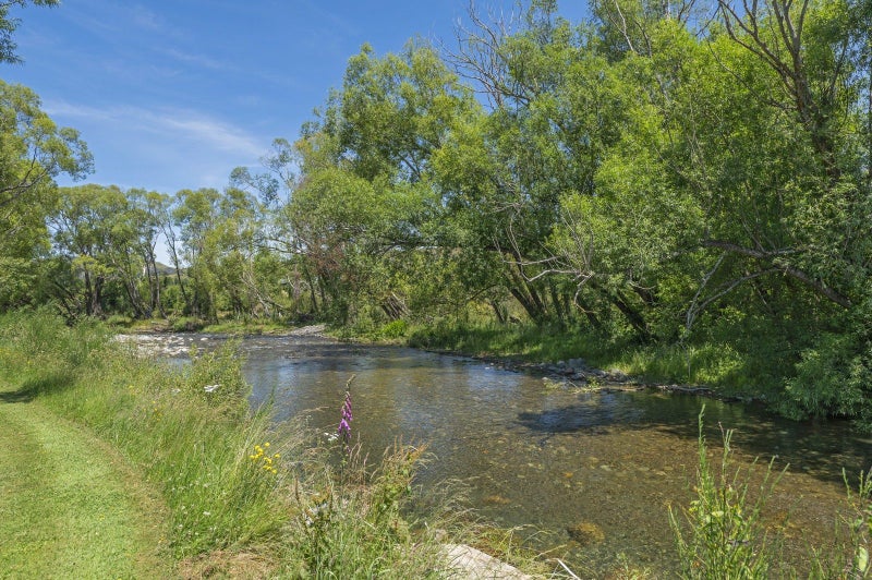 193 Whitecliffs Road, Coalgate - Carousel 50