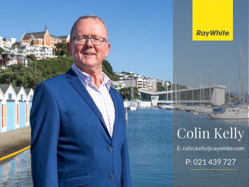 3/219 Grant Road, Thorndon, Wellington - Carousel 19