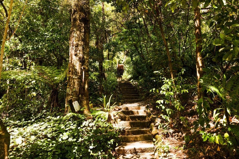 8A Francis Bell Grove, Lowry Bay, Lower Hutt - Carousel 17