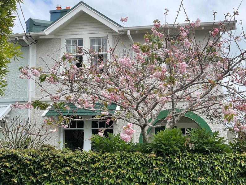 89 Clarence Street, Ponsonby, Auckland - Carousel 1