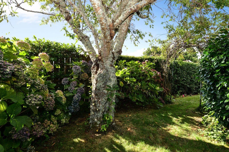 2/38 Sandwich Road, St Andrews, Hamilton - Carousel 34