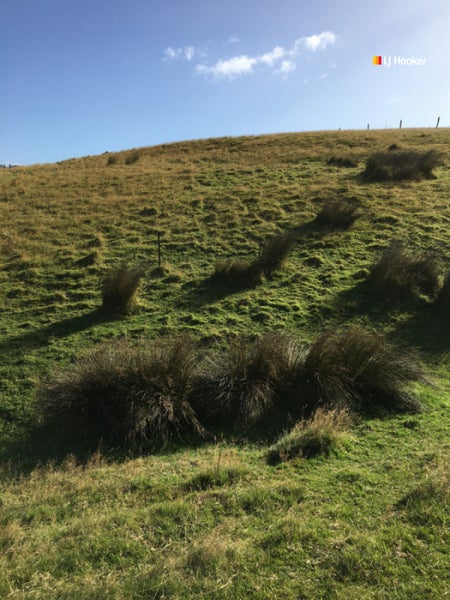 50 McIntosh Road, Brighton, Dunedin - Carousel 6