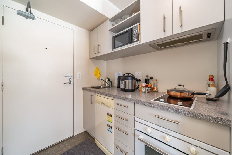 1002/170 Taranaki Street, Te Aro, Wellington - Carousel 17