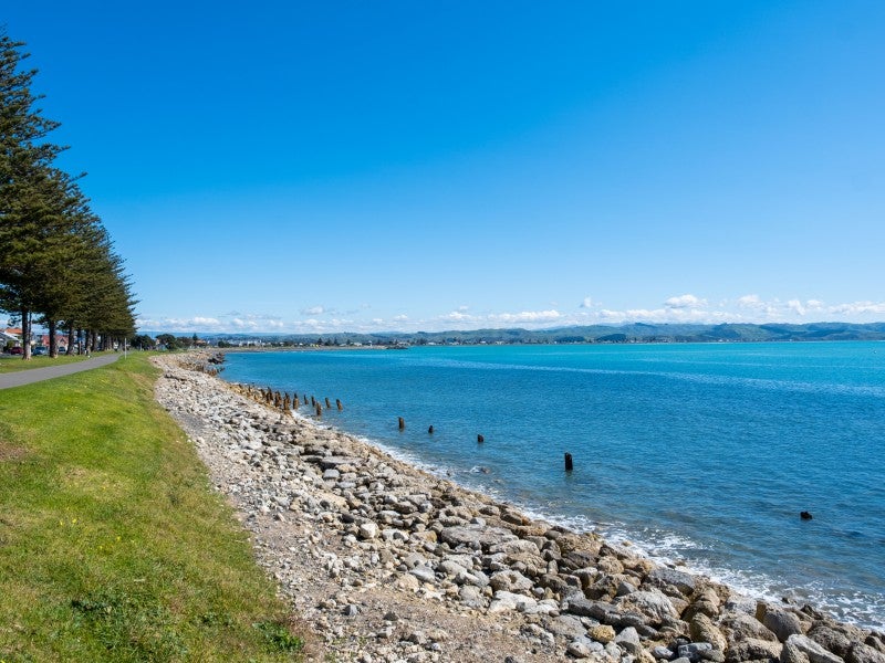 64 Hardinge Road, Ahuriri, Napier - Carousel 13