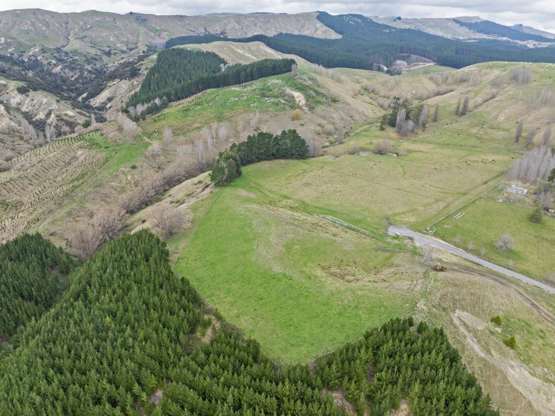 1946 Kahuranaki Road - Carousel 12