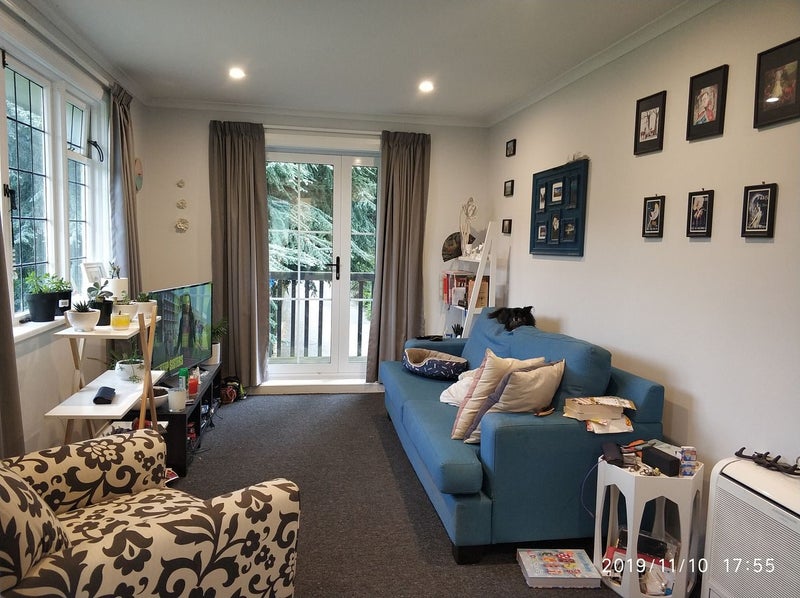 12A Patmos Avenue, Woodhaugh, Dunedin - Carousel 2