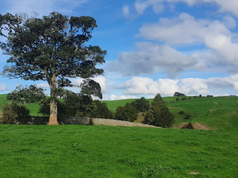 121 Springs Road, Whangarei - Carousel 1