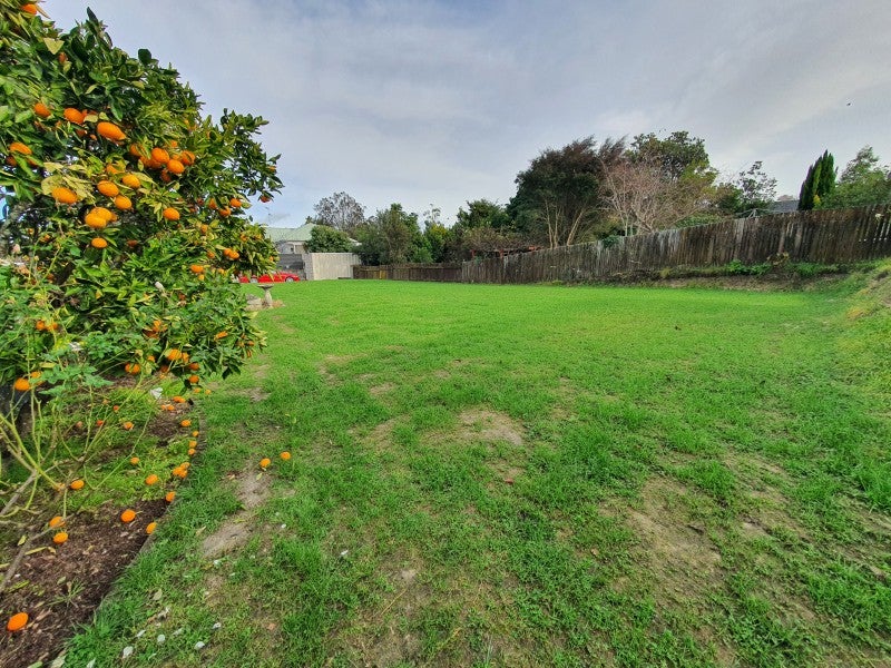 4 Sunvale Crescent, Whataupoko, Gisborne - Carousel 2