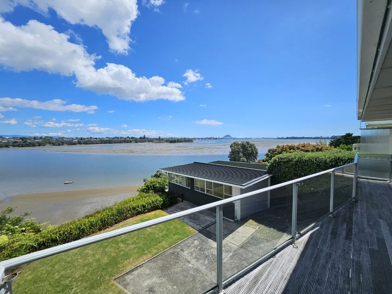 52 Vine Avenue, Maungatapu, Tauranga - Carousel 2