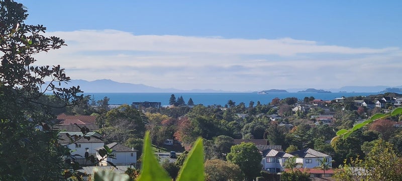 16 Valdese Rise, Browns Bay, Auckland - Carousel 23