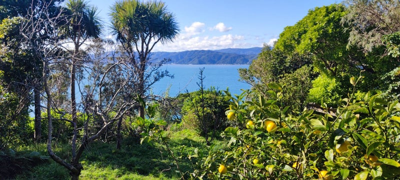 9 Tai Paku Paku Road, Karaka Bays, Wellington - Carousel 1