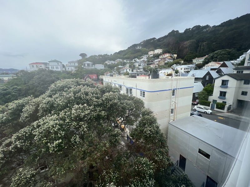 10 Austin Street, Mount Victoria, Wellington - Carousel 19