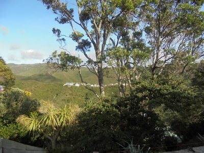 148 The Ridgeway, Mornington, Wellington - Carousel 2