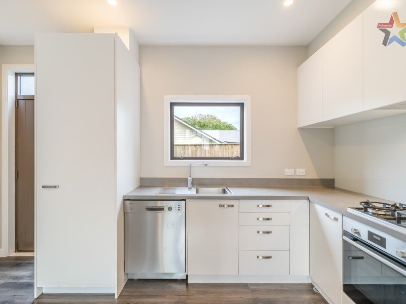 20 Ron Deal Way, Epuni, Lower Hutt - Carousel 20