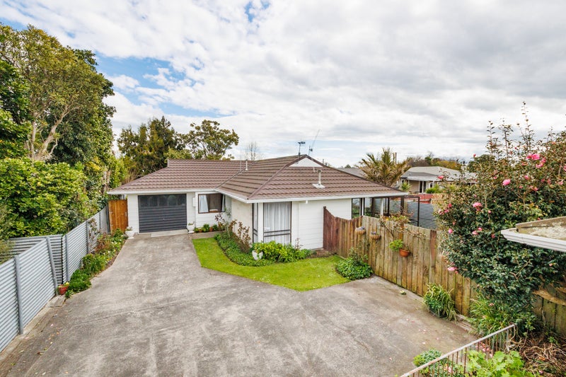36A Wood Street, Takaro, Palmerston North - Carousel 19