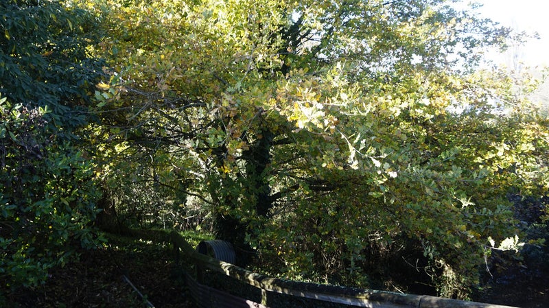 7 London Terrace, Putaruru - Carousel 9