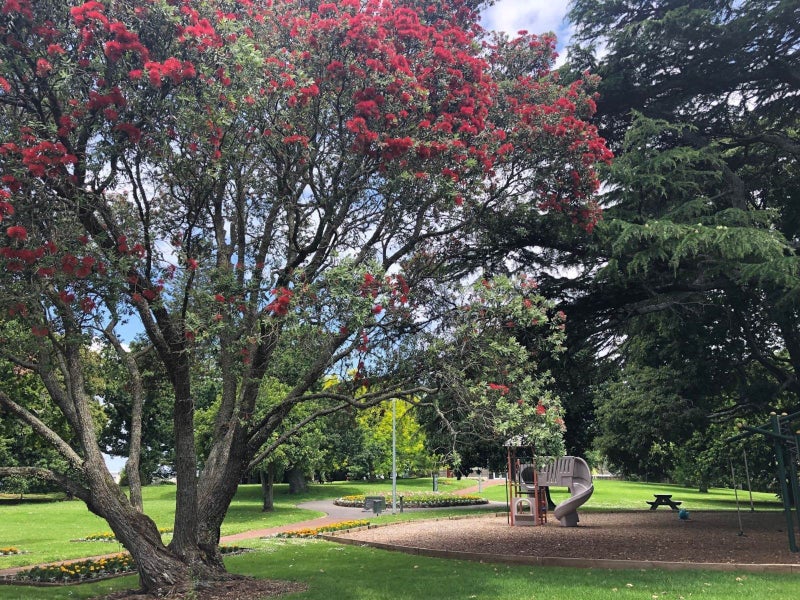 3/52 Carlton Gore Road, Grafton, Auckland - Carousel 12